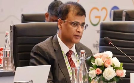 कौन हैं 1993 बैच के आईआरएस अधिकारी राहुल नवीन, निभाएंगे विशेष निदेशक की जिम्मेदारी