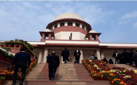 सेंथिल बालाजी की जमानत याचिका पर स्थानीय अदालत 12 जनवरी को फैसला सुनाएगी