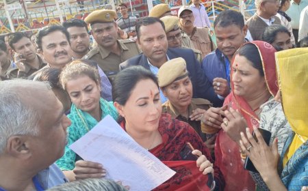 युवा मित्रों ने दिया डिप्टी सीएम दिव्या कुमारी जी को ज्ञापन