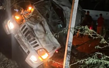 ओवर स्पीड स्कॉर्पियो 5 बार पलटी:पेट्रोल पंप के मालिक का सिर कटकर झाड़ियों में गिरा,एक की मौत, दो गंभीर घायल