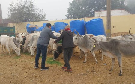 भाजपा नेता ने गौशाला का किया निरीक्षण, अव्यवस्था मिलने पर लापरवाह कर्मचारी होगे निलम्बित