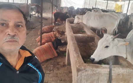 महुवा में दान पुण्य के साथ हर्ष उल्लास से मनाया मकर संक्रांति का त्योहार