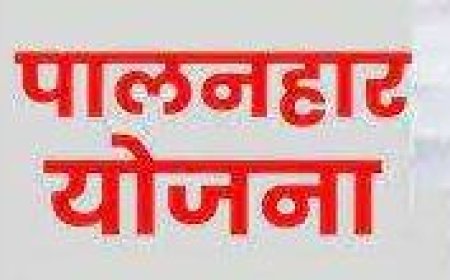 पालनहार योजना में करायें 31 जनवरी तक सत्यापन