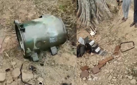 रैणी के भाबड्या बास (डेरा) मे तीन भैस चोरी के बाद दूसरी रात मे हुआ सिंगल फेज ट्रांसफार्मर भी चोरी