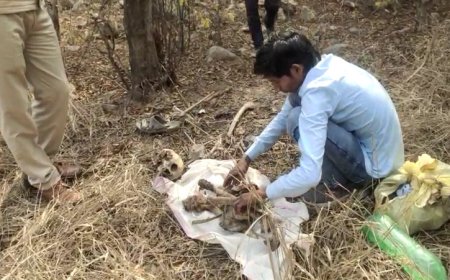 राजगढ़-टहला सड़क मार्ग के मध्य मोहरकिन का नाले में मिला नर कंकाल