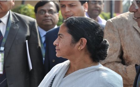 एक वाहन से टक्कर टालने के लिए कार चालक के अचानक ब्रेक लगाने से ममता के माथे पर चोट लगी