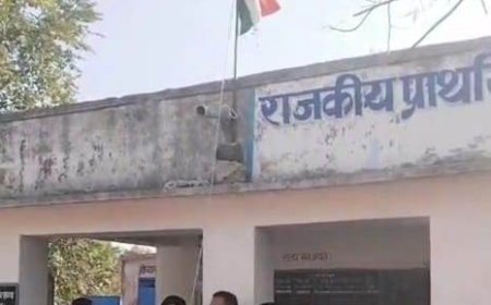 नीमकाजोहडा राजकीय प्राथमिक विद्यालय में धूमधाम  से मनाया गणतंत्र दिवस