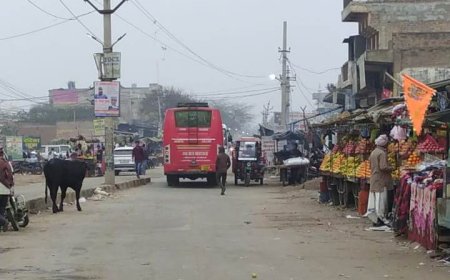 सुलभ शौचालय का अभाव महिला यात्री परेशान