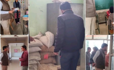 जिला कलेक्टर ने किया हरसोली में स्थित कार्यालयों का निरीक्षण:महात्मा गांधी गवर्नमेंट विद्यालय हरसोली में पोषाहार सामग्री के भंडारण को लेकर जताई नाराजगी