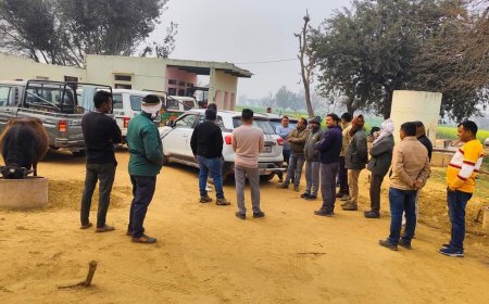 सोडावास के समीप शामदा गाँव की पहाड़ी क्षेत्र में रहा बाघ का मूवमेंट: टीमें कर रही बाघ की तलाश