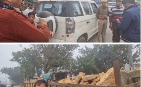 अलवर में घुसते ही मिले पत्थर से भरे ट्रैक्टर ट्रॉली: वन मंत्री ने वन विभाग सहित अन्य अधिकारियों कर्मचारियों को लगाई फटकार