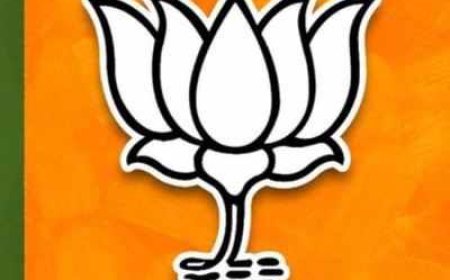 लोकसभा चुनाव तैयारी को लेकर भाजपा की कार्यशाला का हुआ आयोजन