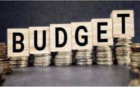 राजस्थान का अंतरिम बजट प्रदेश के सर्वोगीण विकास में मील का पत्थर साबित होगा :- भूतड़ा