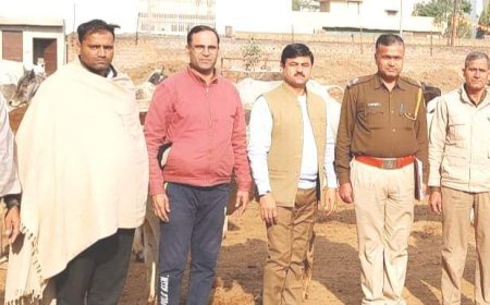 कोटपूतली थाना पुलिस की कार्यवाही:- गौवंश से भरे ट्रक को चार किमी पीछा करके पकड़ा ट्रक चालक व तस्कर मौके से फरार