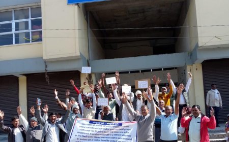 चारागाह भूमि खाली कराने को लेकर विभिन्न संगठनों ने जिला कलेक्टर को सौपा ज्ञापन