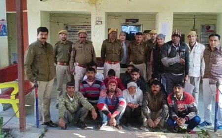 धौलपुर पुलिस  की 73 टीमों ने 284 स्थानों पर दी दबिश: 133 अपराधी गिरफ्तार