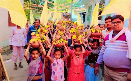 श्री श्रीयादे माता जन्म जंयती महोत्सव हर्षोलास से मनाई , 251 भामशाहो का हुआ सम्मान