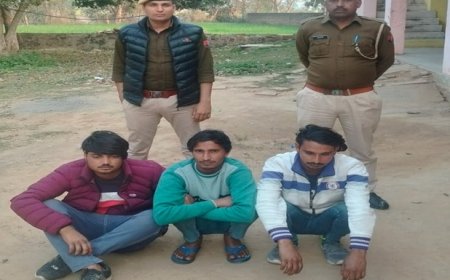 सेक्सटाॅर्शन के माध्यम से ठगी करने के मामले में तीन साईबर ठग गिरफ्तार, कब्जे से पाॅच एंड्राइड मोबाइल जब्त