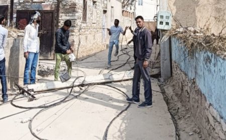 पार्षद की मांग पर विभाग ने विद्युत लाइन बदली