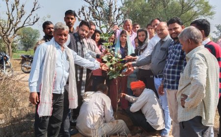 वन एवं पर्यावरण राज्य मंत्री संजय शर्मा के जन्मदिन पर पूछरी का लोठा हनुमान मंदिर पर लगाए पौधे 