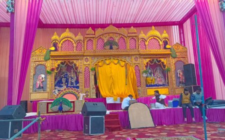 बडौदा मेव में पंच दिवसीय श्री श्याम महोत्सव आज शाम से  होगा शुभारंभ