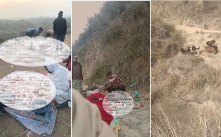 एक तरफ गौपालन मंत्री कहते हैं गौतस्कर इलाका छोड़ भागेंगे और यंहा दिनदहाड़े होती है गौकशी