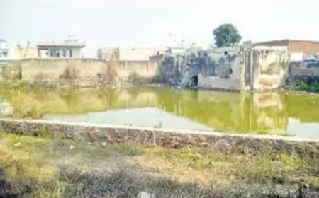 रेलवे स्टेशन के पास भरे गंदे पानी में गिरकर मर रहे पशु, दुर्गंध फैली
