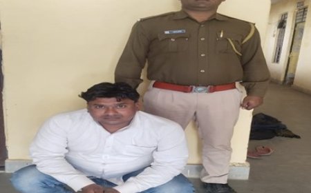 सीकरी पुलिस की कार्यवाही: मारपीट कर मधुमक्खी के डिब्बो को चुरा ले जाने के मामले में बूचाका निवासी गिरफ्तार