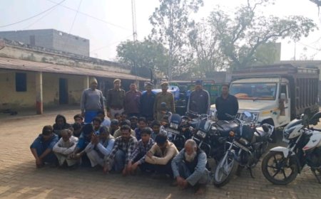 पुलिस डाल डाल, गौतस्कर पात पात  गौतस्करो की गिरफ्तारी को लेकर मेवात में पुलिस दबिश