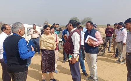 जिला कलक्टर ने किया रुंध गिदावड़ा व बृसंगपुर का निरीक्षण