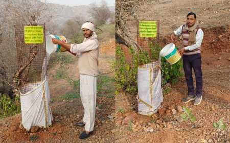 स्वच्छता शिविर का आयोजन, पौधों में पानी देकर पर्यावरण बचाने का दिया संदेश