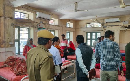 जिला कलेक्टर एवं  उपखंड अधिकारी ने किया विभिन्न विभागों का औचक निरिक्षण