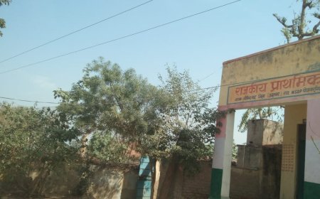 विधुत विभाग की लापरवाही:नोनिहालो के जीवन पर भारी, स्कूल भवन पर लटकी 11 केवी बिजली लाइन