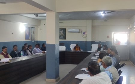 विभागीय अधिकारी 100 दिवसीय कार्य योजना कि लक्ष्यानुरूप प्रगति सुनिश्चित करें- जिला कलेक्टर