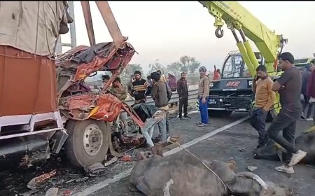 दिल्ली-मुंबई एक्सप्रेस वे पर हादसा:- खड़े डंपर में घुसा केंट्रा ट्रक, तीन की मौत:एक घायल