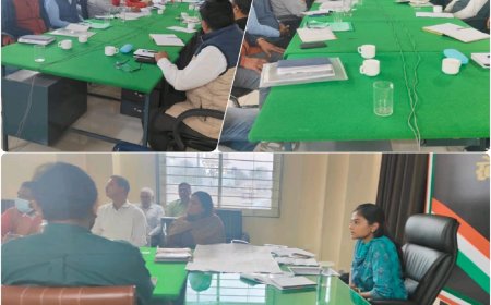 राजस्व विभाग के अधिकारियों की मासिक बैठक का हुआ आयोजन