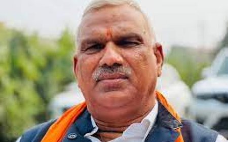 गृह राज्य मंत्री बेढम और जिला कलेक्टर ने किया जटेरी धाम के दर्शन