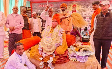 रैणागिरी धाम में श्री शीतलदास जी महाराज का दो दिवसीय लख्खी मेला सम्पन्न