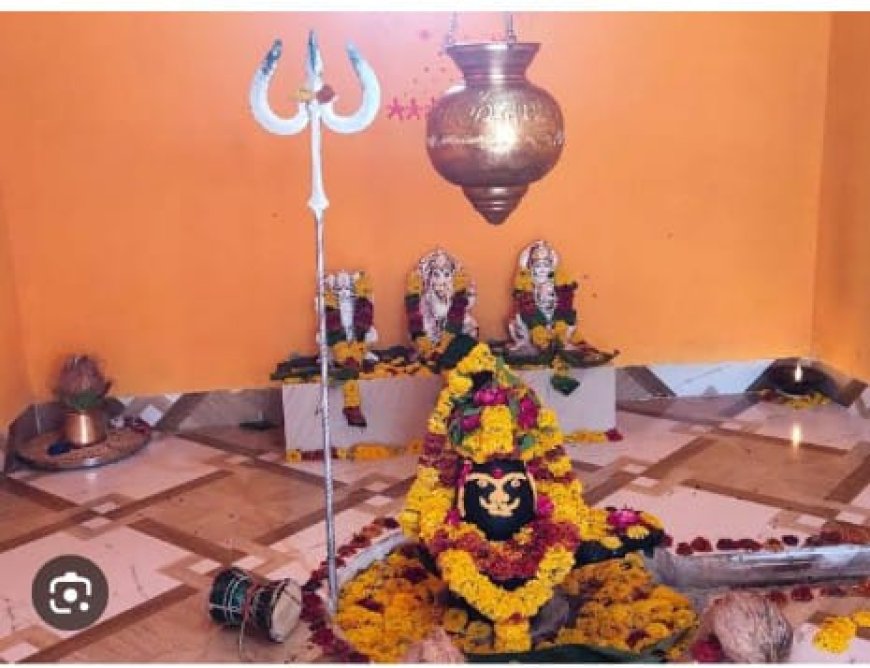 पचलंगी में 14 फरवरी को होगा द्वारकेश्वर महादेव मूर्ति प्राण प्रतिष्ठा का आयोजन :कल सैकड़ो महिलाओं द्वारा निकाली जाएगी भव्य कलश यात्रा