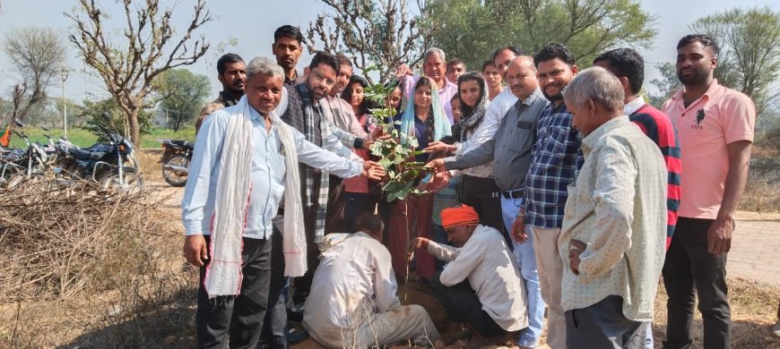 वन एवं पर्यावरण राज्य मंत्री संजय शर्मा के जन्मदिन पर पूछरी का लोठा हनुमान मंदिर पर लगाए पौधे 