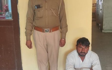 सीकरी थाना पुलिस ने मारपीट एवं फायरिंग के मामले में वांछित आरोपी को किया गिरफ्तार