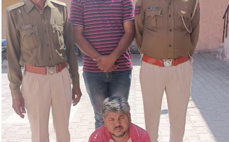 मिठाई की दुकान में अवैध डोडा पोस्त के साथ एक गिरफ्तार