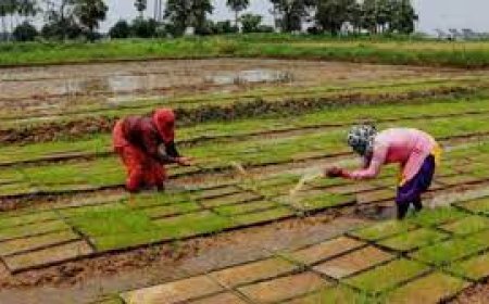 नवीन तकनीक का ज्ञान लेने हेतु महिला किसान का दल गुजरात रवाना