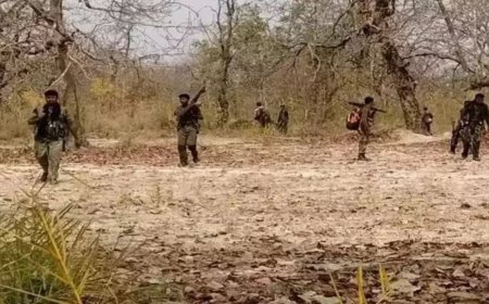 छत्तीसगढ़ के कांकेर में मुठभेड़ के दौरान एक नक्सली ढेर, पुलिसकर्मी शहीद
