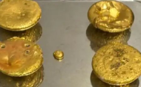राजस्थान में 2 कार्यवाही में तस्करी का 7.8 किलो सोना जब्त