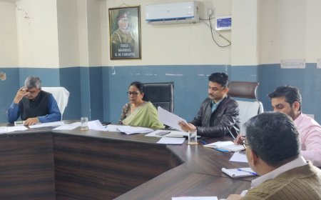 जिला कलेक्टर ने 100 दिवसीय कार्य योजना का लिया ब्योरा, जिलास्तरीय अधिकारीयो की बैठक आयोजित