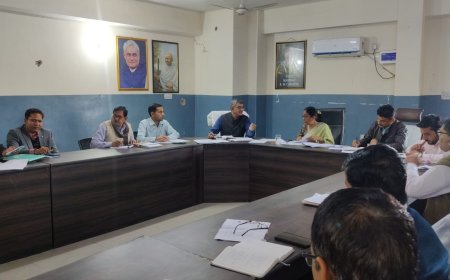 जिला कलेक्टर ने 100 दिवसीय कार्य योजना का लिया ब्योरा ,अधिकारियों को दिए निर्देश:तय समय सीमा में हासिल करें लक्ष्य