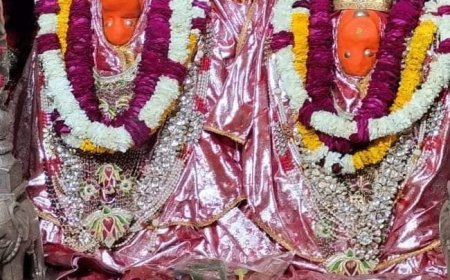 मां शाकंभरी के दरबार में इसी माह होगा फागुन महोत्सव का आयोजन: फागुन महोत्सव पर देश-विदेश से आकर भक्त लोग लगाएंगे मैया के दरबार में धोक