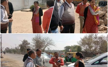 हरियाणा से भिवाड़ी क्षेत्र में आ रहे प्रदूषित पानी स्रोतों का जिला कलक्टर ने किया दौरा