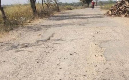 आडी गैली रोड पूर्णतया हुआ क्षतिग्रस्त, नहीं दे रहे जिम्मेदार ध्यान